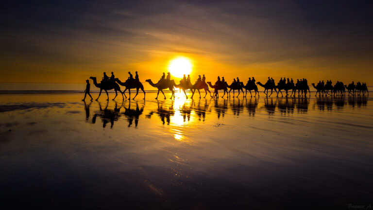 Broome Blog Header - Where to get camel tour in Broome