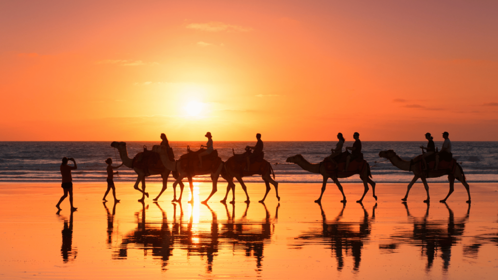 5 reasons to visit broome - cable beach broome wa - camel rides sunset